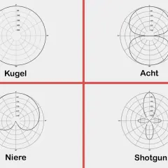 Diagramme zeigen verschiedene Richtcharakteristiken von Mikrofonen: Kugel, Acht, Niere und Shotgun.