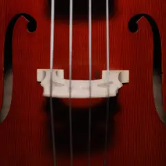 Nahaufnahme des Korpus eines Cellos mit den Saiten und dem Steg. Ein detaillierter cello steckbrief.