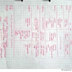 Was ist eine Kantate? Eine musikalische Form, oft mit Chören, Arien und Rezitativen, die eine Geschichte erzählt.