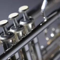 Nahaufnahme eines tief klingenden Blasinstruments, das glänzende Ventilknöpfe und Rohre zeigt.