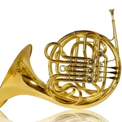 Glänzendes goldenes Waldhorn, ein klassisches Blechblasinstrument, das verschiedene Arten von Hörnern repräsentiert.