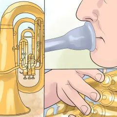 Ein Euphonium und eine Tuba im Vergleich: Mundstück und Ventile.
