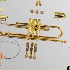 Zerlegte Trompete mit Zubehör. Hier sieht man, welche Blasinstrumente es gibt, wie eine Trompete aufgebaut ist und wie sie gepflegt wird.