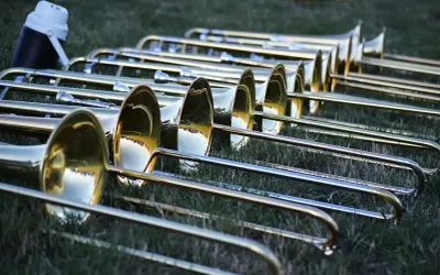 Eine Reihe glänzender Posaunen liegt im Gras. Die Instrumente warten auf ihren Einsatz, vielleicht für ein Konzert oder eine Parade.