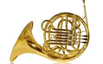Glänzendes goldenes Waldhorn, ein klassisches Blechblasinstrument, das verschiedene Arten von Hörnern repräsentiert.