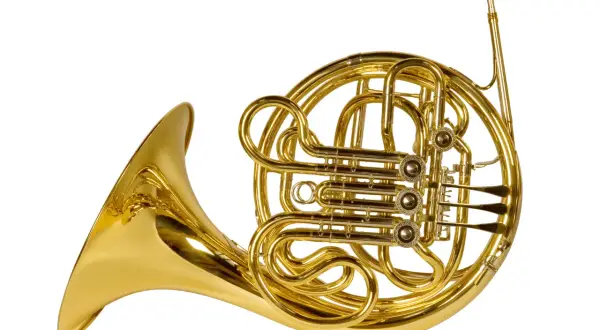 Glänzendes goldenes Waldhorn, ein klassisches Blechblasinstrument, das verschiedene Arten von Hörnern repräsentiert.