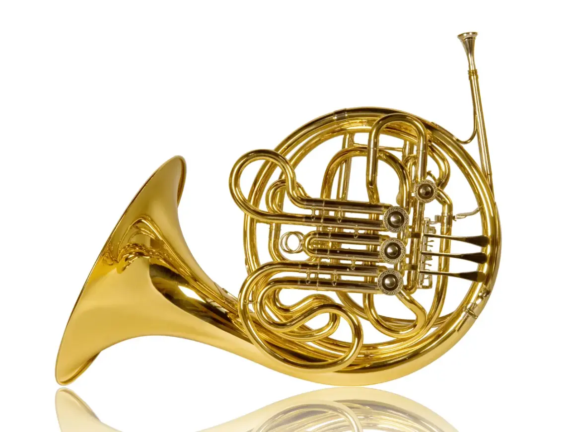 Glänzendes goldenes Waldhorn, ein klassisches Blechblasinstrument, das verschiedene Arten von Hörnern repräsentiert.