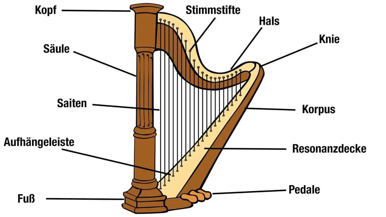 Der Aufbau einer Harfe: Kopf, Säule, Saiten, Aufhängeleiste, Fuß, Stimmstifte, Hals, Knie, Korpus, Resonanzdecke und Pedale sind beschriftet.