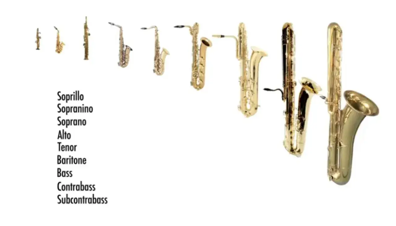 Verschiedene Saxophon arten, von kleinem Soprillo bis zum riesigen Subcontrabass, nebeneinander aufgereiht.