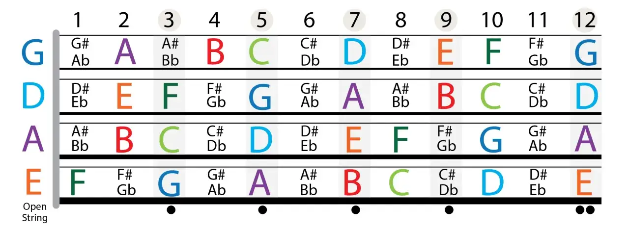 Noten für Bass-Gitarre: G, D, A, E Saiten mit Bundnummern und Noten.