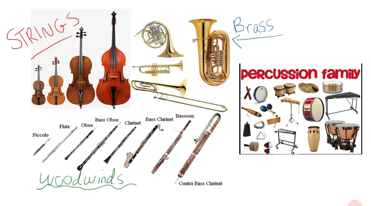 Verschiedene Musikinstrumente: Streichinstrumente, Blechbl&auml;ser wie Tuba und Horn, Holzblasinstrumente wie Klarinette und Fagott, sowie Schlaginstrumente. Ein einfaches Blasinstrument ist hier nicht explizit hervorgehoben.