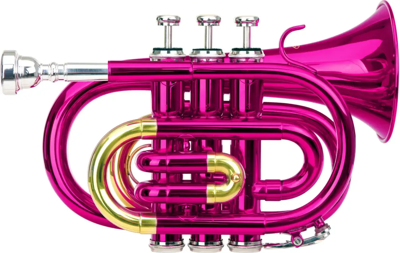 Eine kleine Trompete in leuchtendem Pink mit goldenen Akzenten.