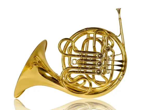 Horn Instrument Arten - Welches passt zu dir?
