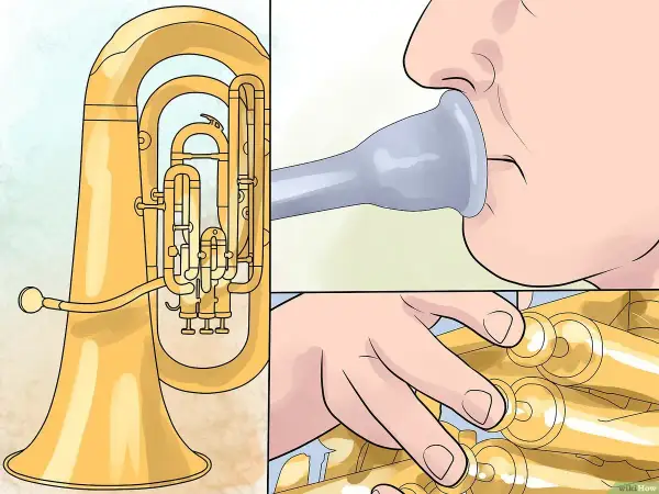 Ein Euphonium und eine Tuba im Vergleich: Mundstück und Ventile.
